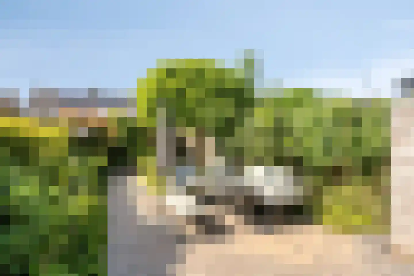 Aalmoezenier Verheggenstraat 16 Maastricht thumbnail 16