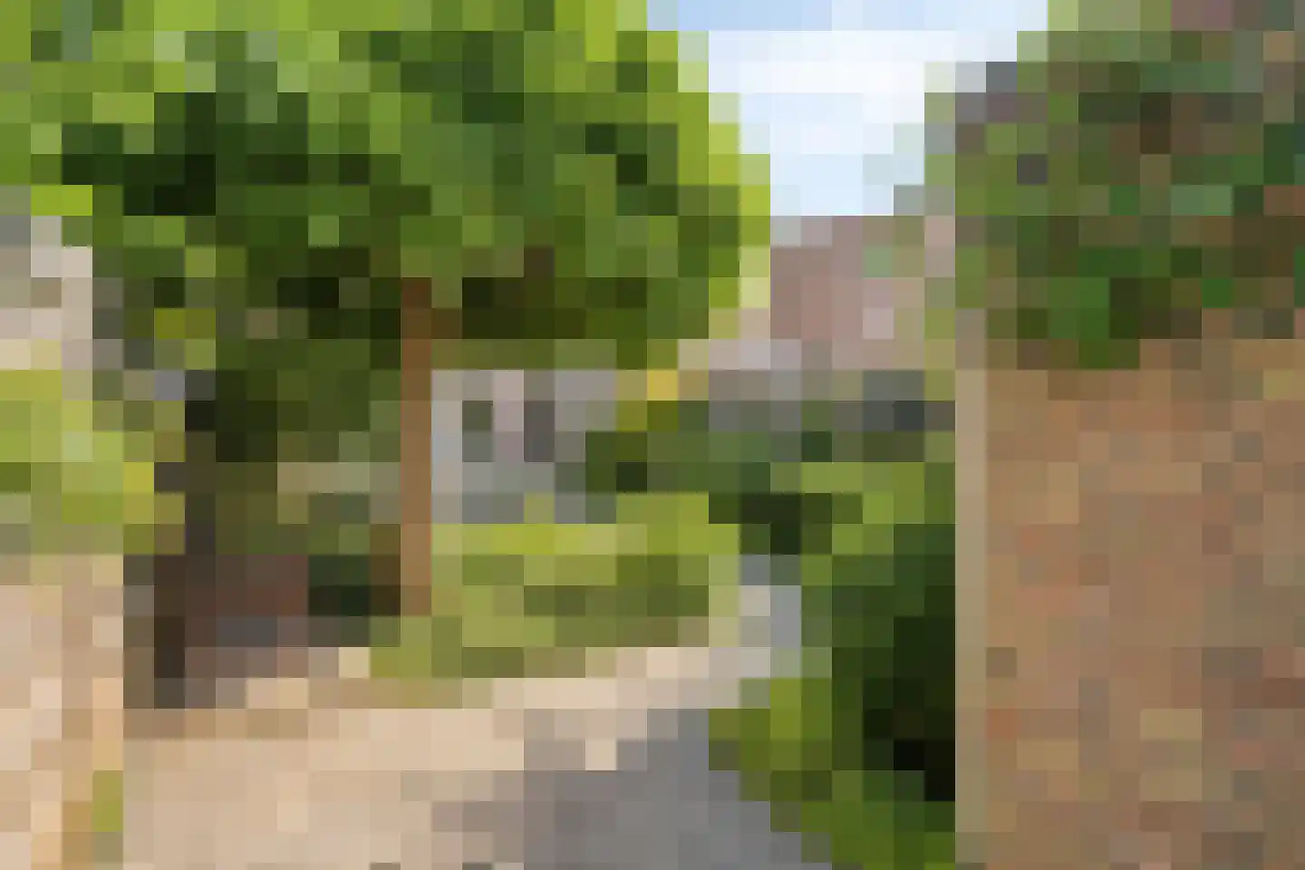 Aalmoezenier Verheggenstraat 16 Maastricht thumbnail 19