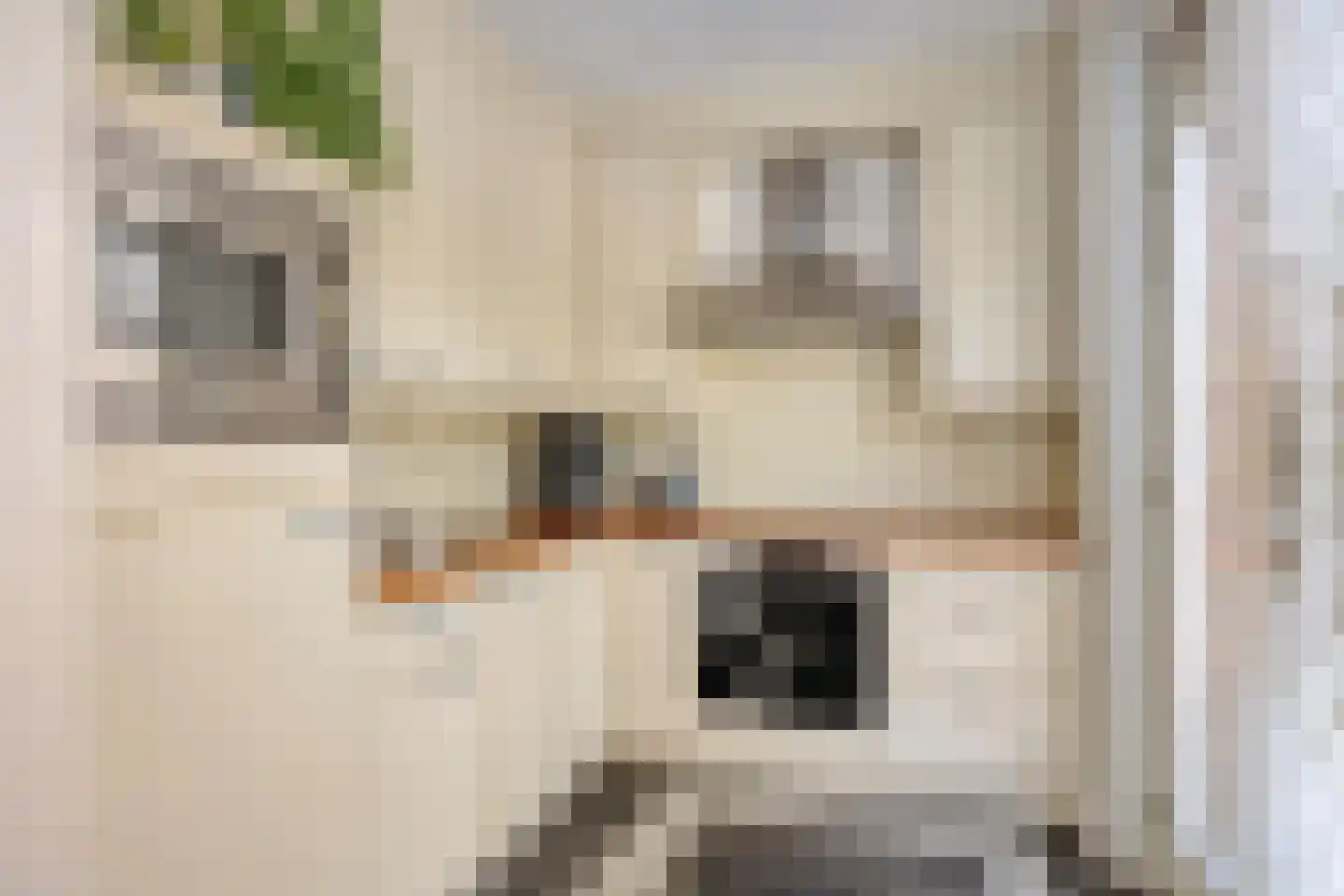 Aalmoezenier Verheggenstraat 16 Maastricht thumbnail 8