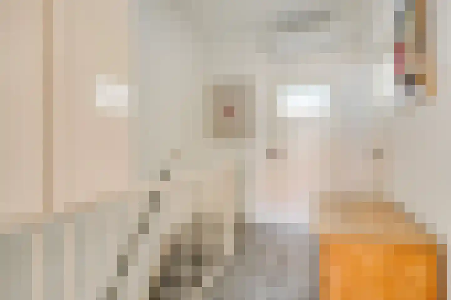 Aalmoezenier Verheggenstraat 16 Maastricht thumbnail 9