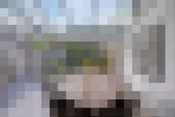 Aalsburg 1108 Wijchen thumbnail 14