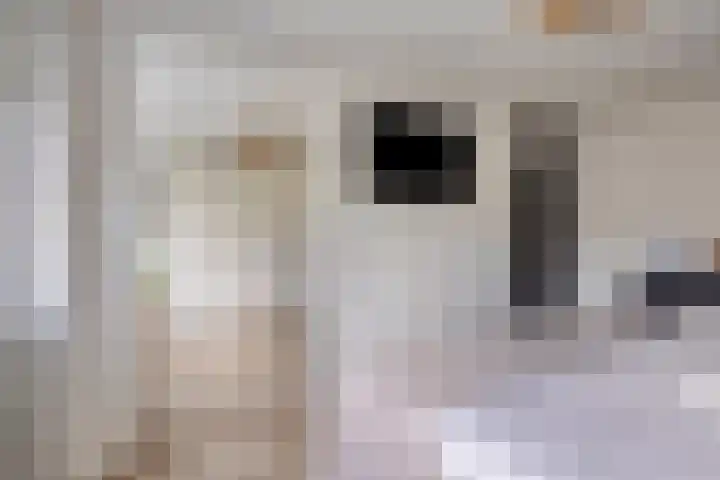 Aalsburg 1108 Wijchen thumbnail 19