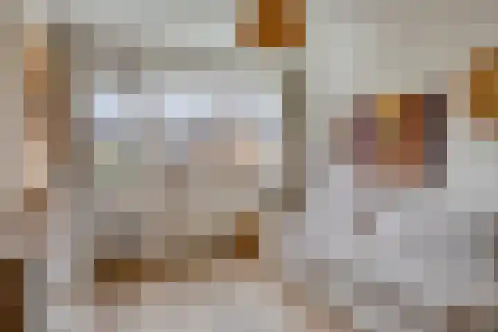 Aalsburg 1108 Wijchen thumbnail 22