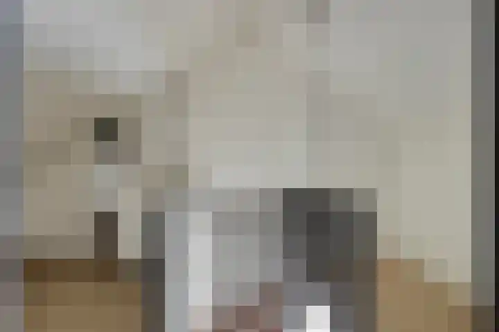 Aalsburg 1108 Wijchen thumbnail 28