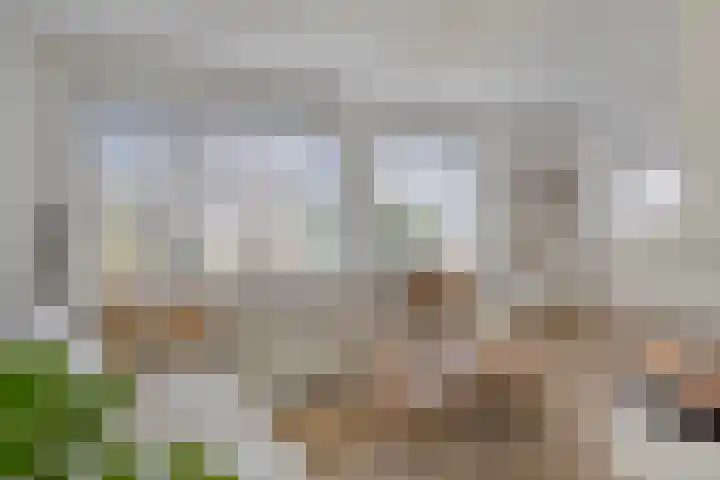 Aalsburg 1108 Wijchen thumbnail 4