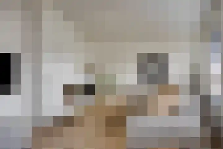 Aalsburg 1108 Wijchen thumbnail 7