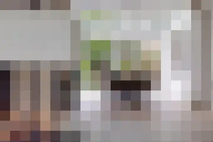 Aalsburg 1108 Wijchen thumbnail 8