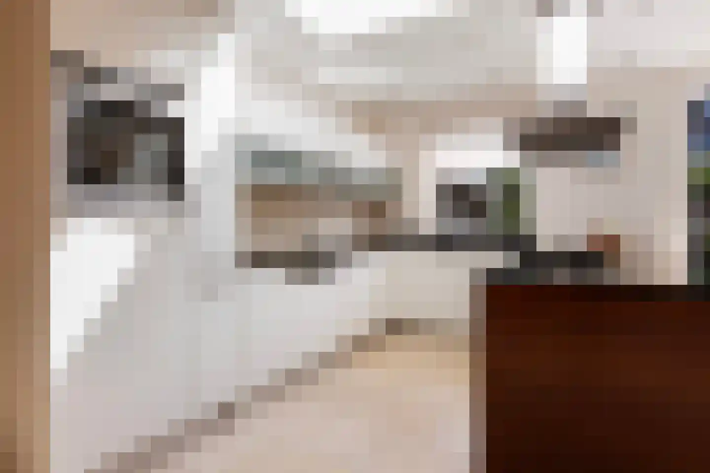 Aalsburg 1232 Wijchen thumbnail 11