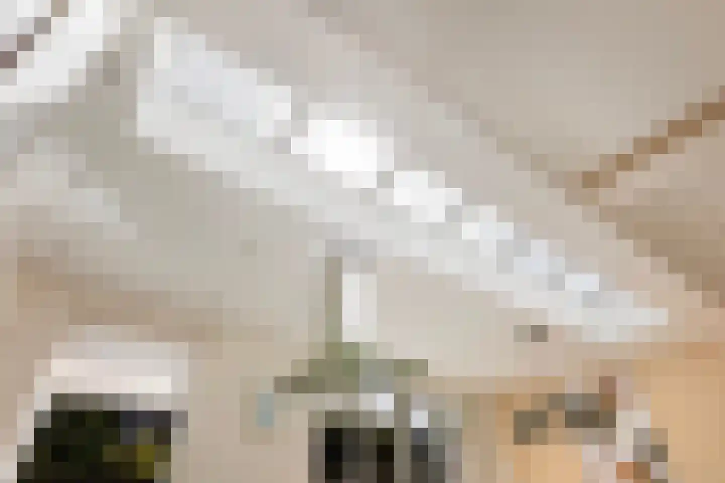 Aalsburg 1232 Wijchen thumbnail 13