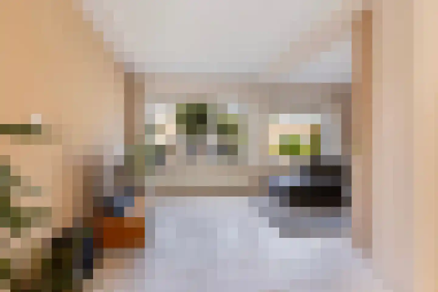 Aalsburg 1232 Wijchen thumbnail 14