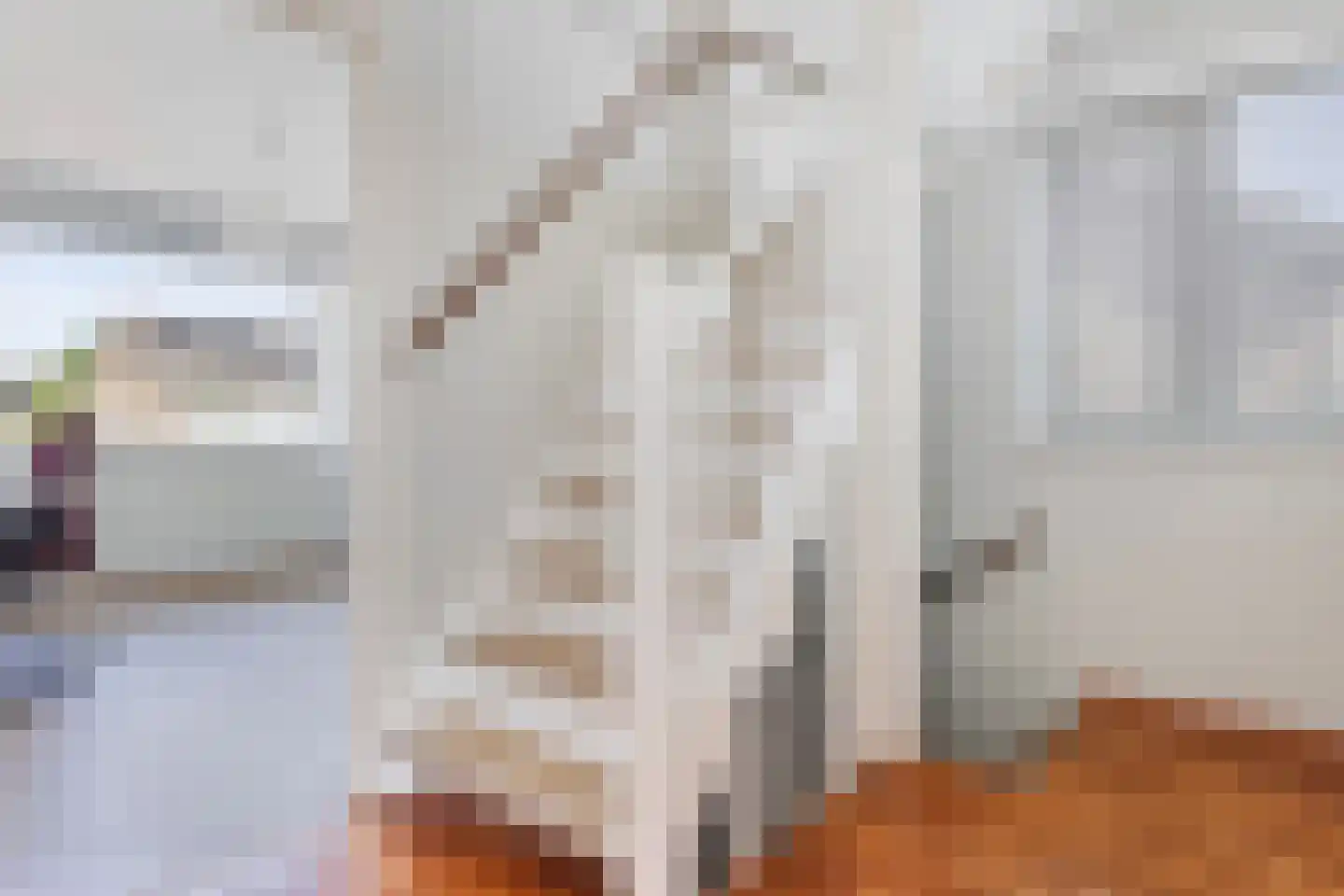Aalsburg 1232 Wijchen thumbnail 18