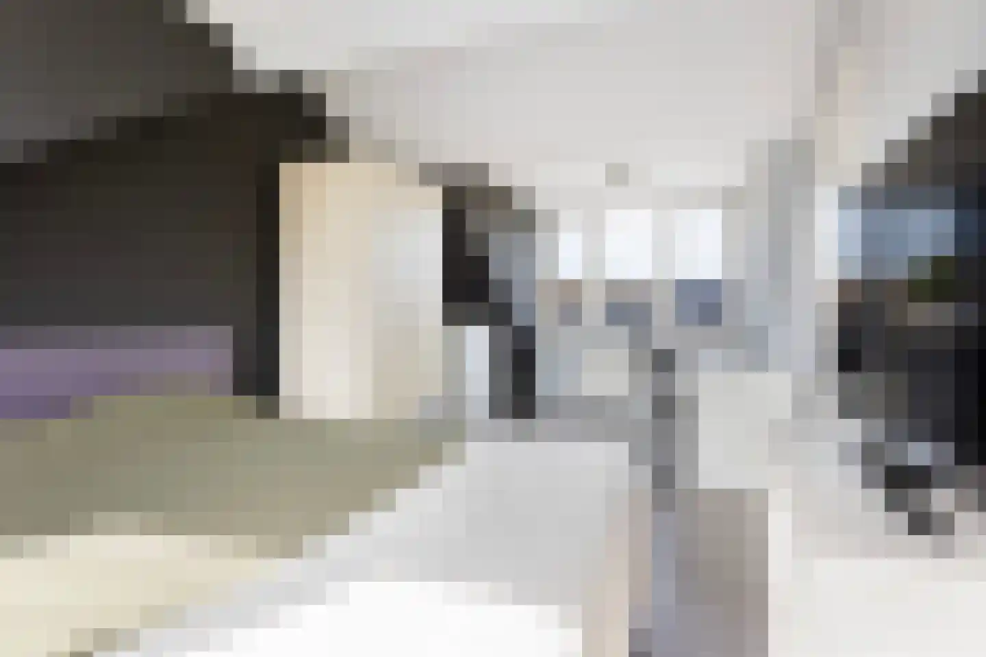 Aalsburg 1232 Wijchen thumbnail 30