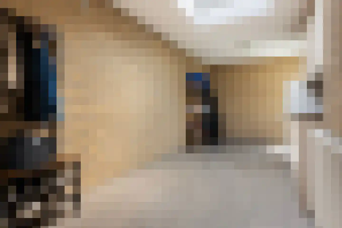 Aalsburg 1232 Wijchen thumbnail 33