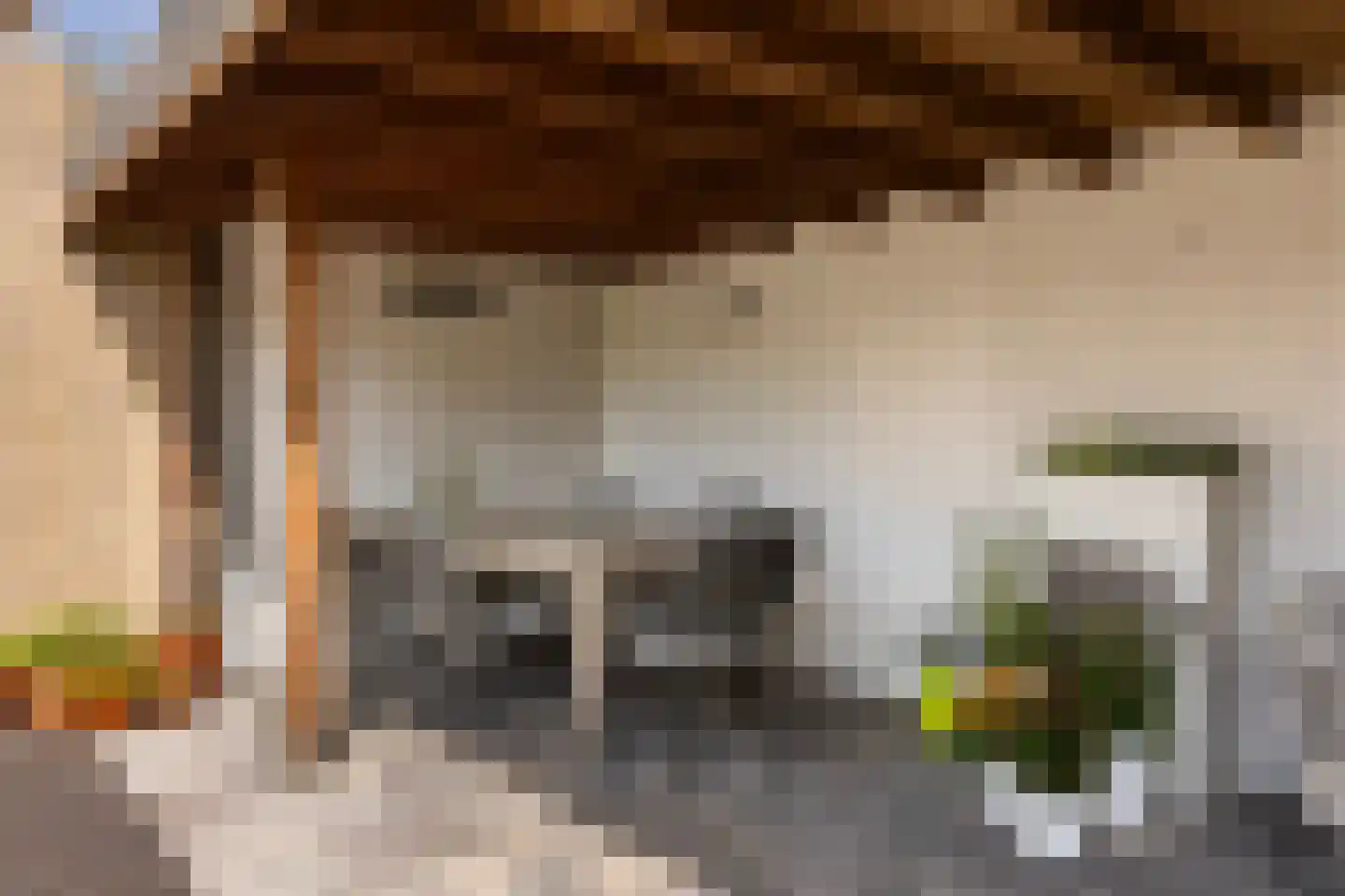 Aalsburg 1232 Wijchen thumbnail 36