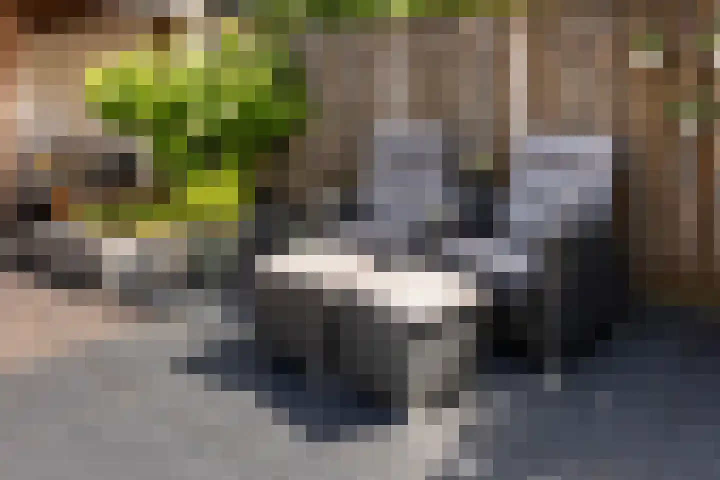 Aalsburg 1232 Wijchen thumbnail 39