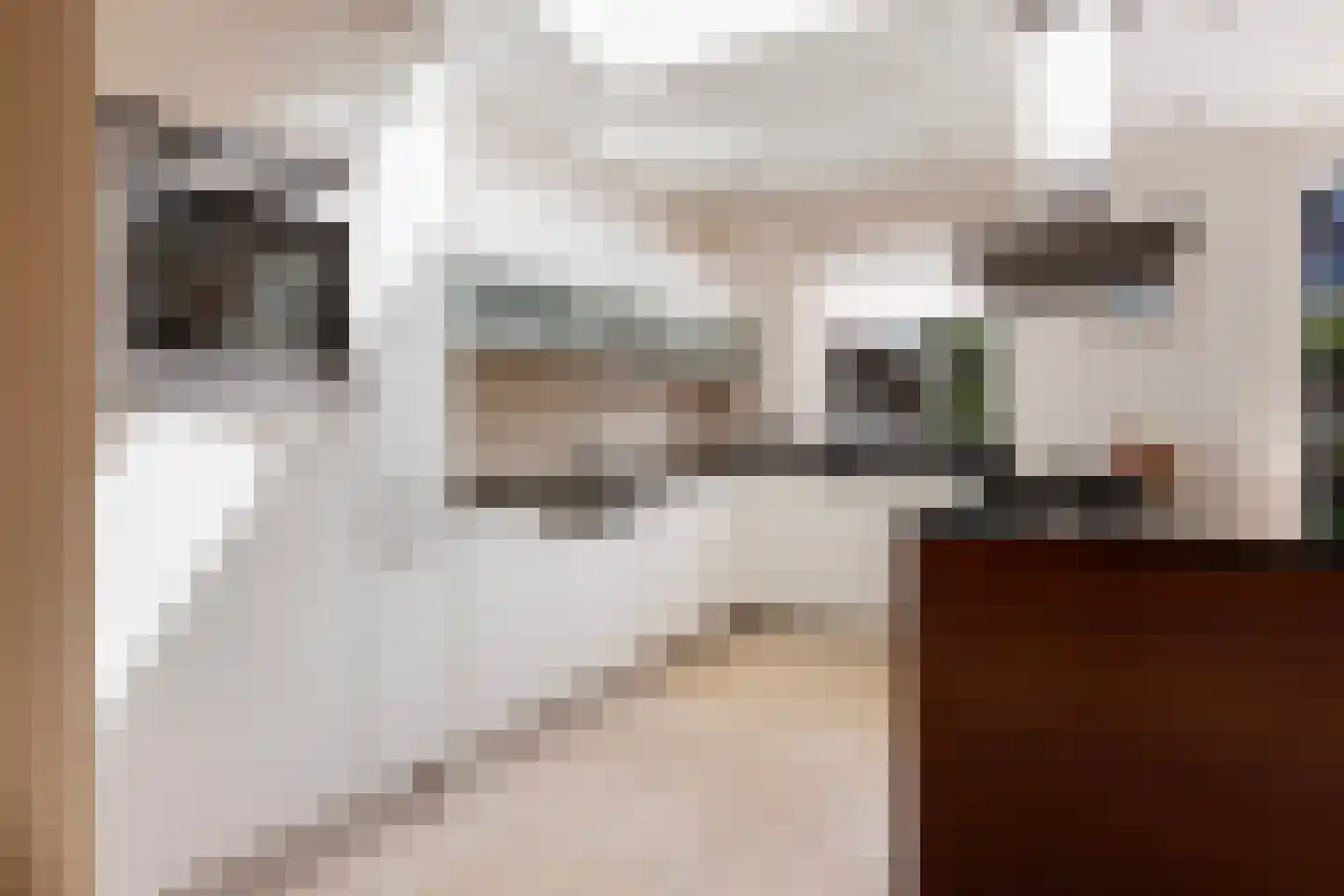 Aalsburg 1232 Wijchen thumbnail 4