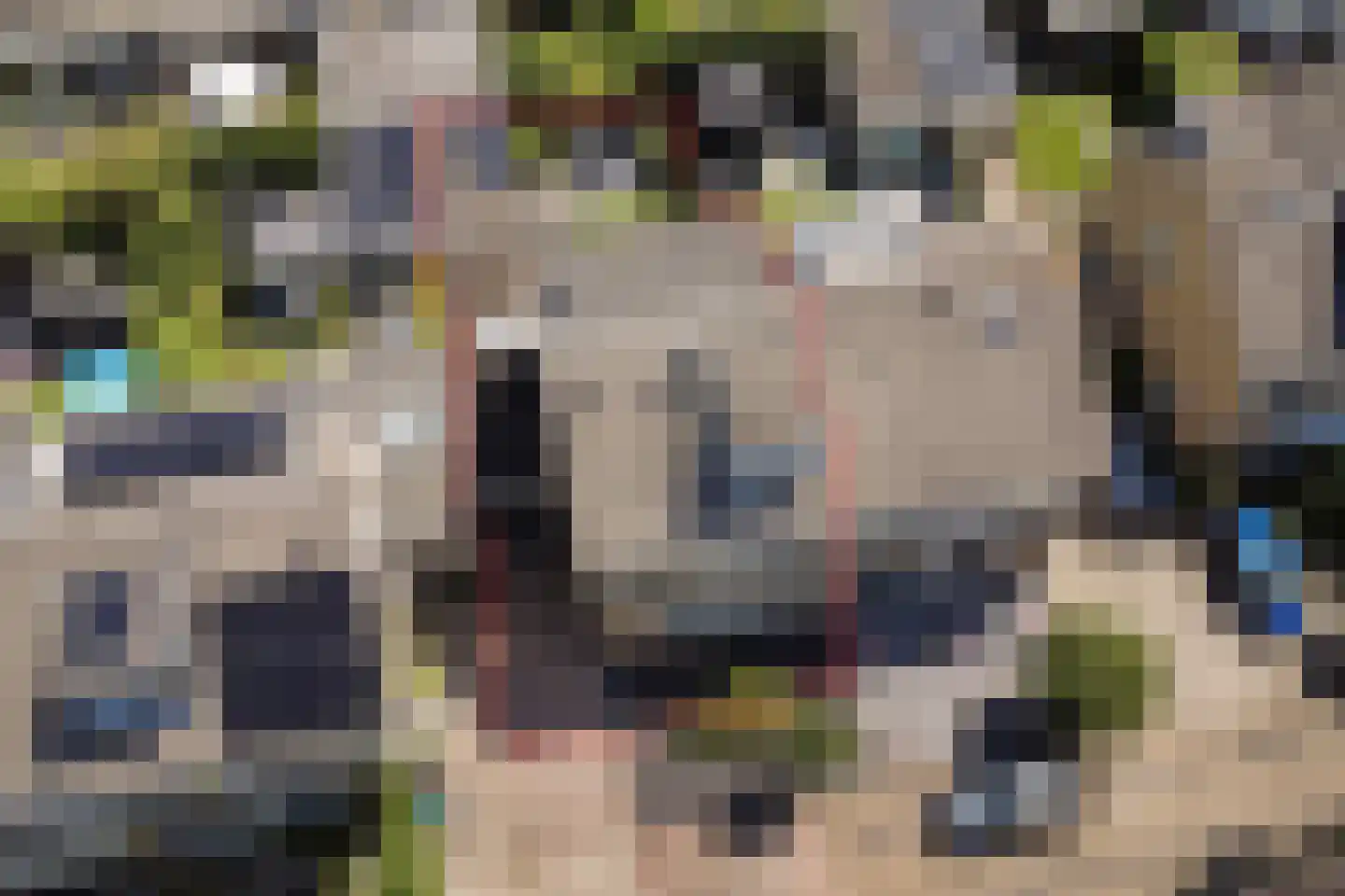 Aalsburg 1232 Wijchen thumbnail 42