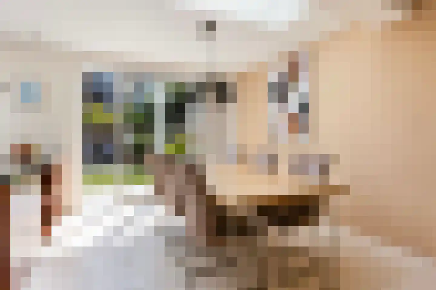 Aalsburg 1232 Wijchen thumbnail 9