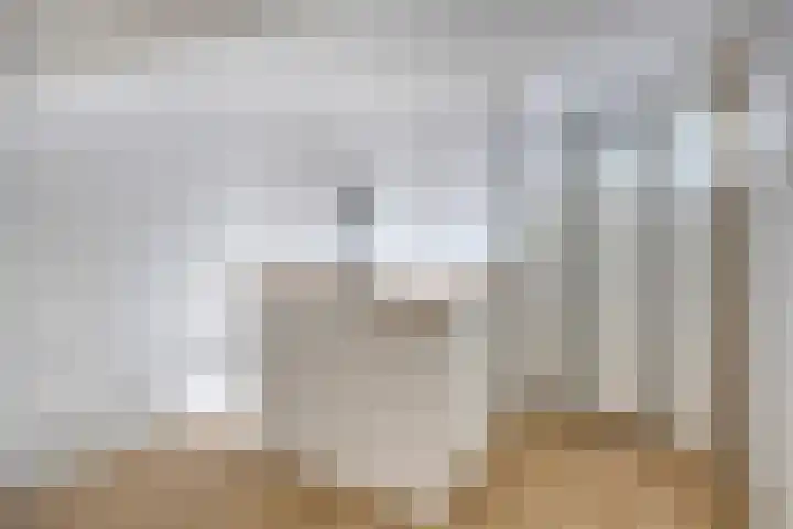 Aalsburg 1274 Wijchen thumbnail 20