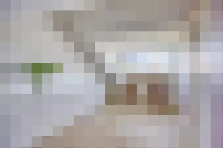 Aalsburg 1274 Wijchen thumbnail 21
