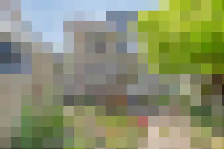 Aalsburg 1274 Wijchen thumbnail 23