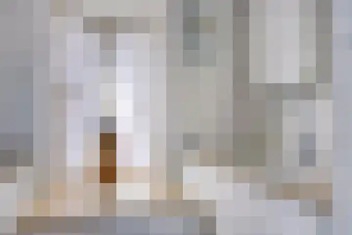Aalsburg 1274 Wijchen thumbnail 4