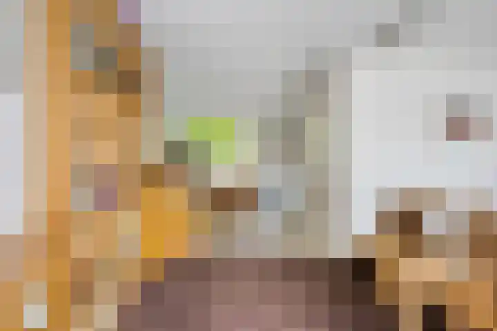 Aalsburg 1274 Wijchen thumbnail 6