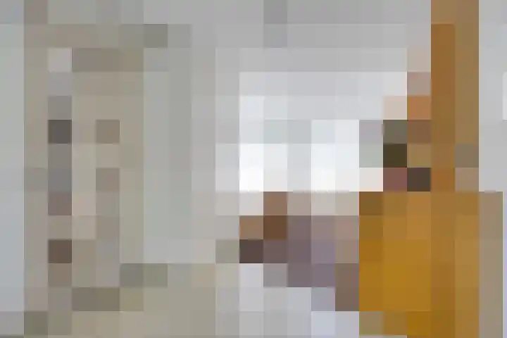 Aalsburg 1274 Wijchen thumbnail 7