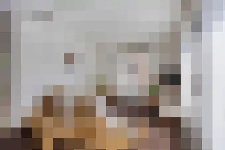 Aalsburg 1274 Wijchen thumbnail 9