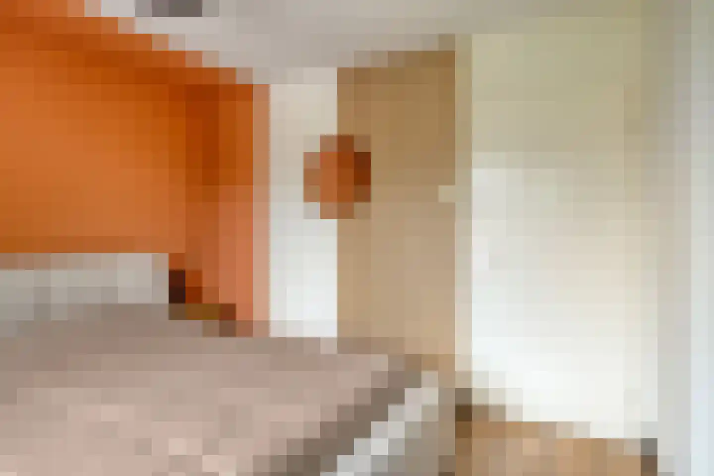 Aalsburg 1405 Wijchen thumbnail 21