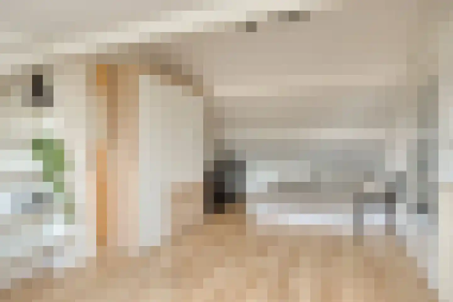 Aalsburg 1405 Wijchen thumbnail 34