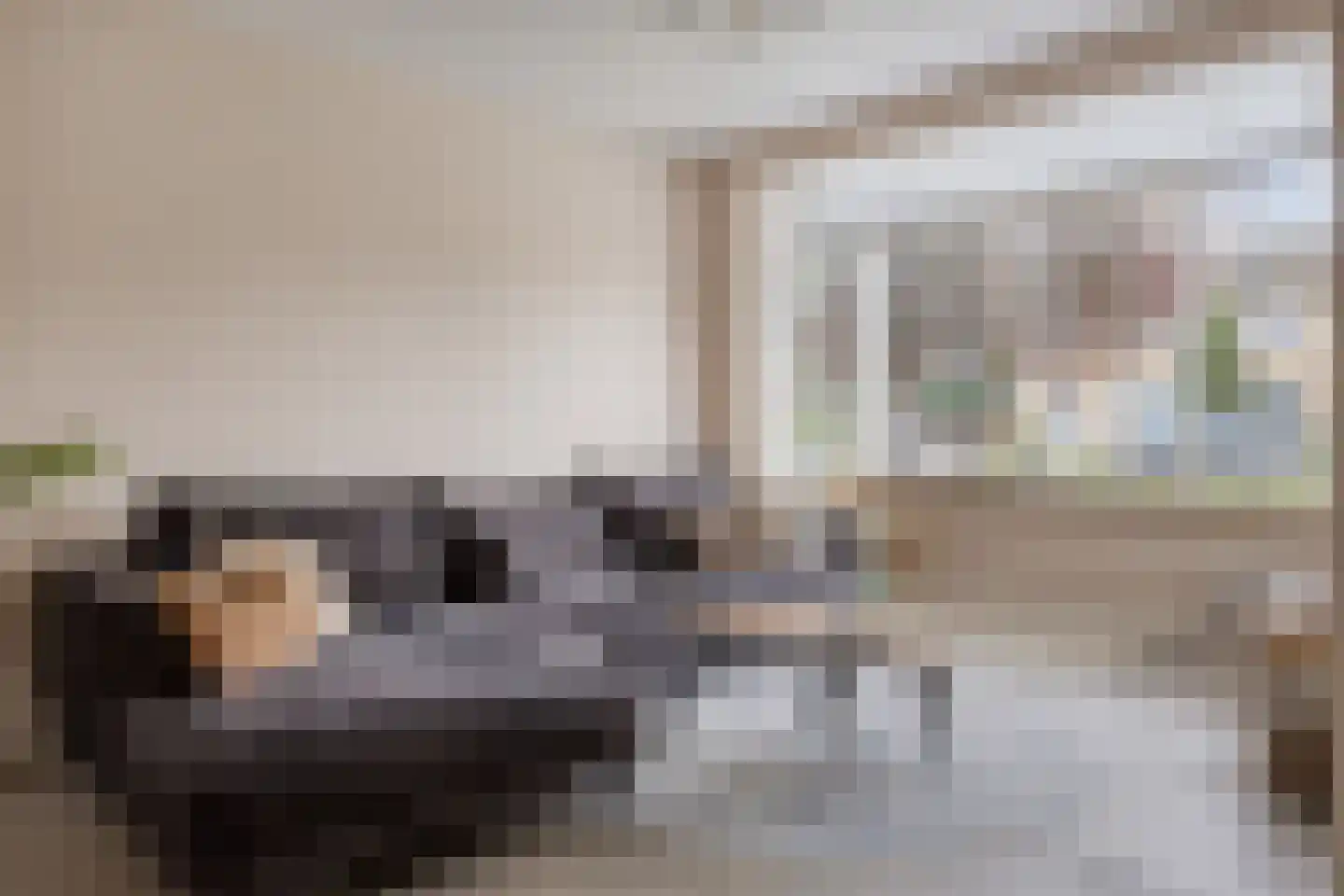Aalsburg 1405 Wijchen thumbnail 4