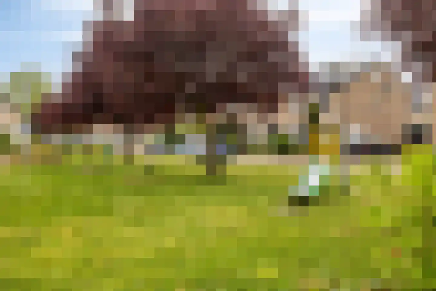 Aalsburg 1405 Wijchen thumbnail 42