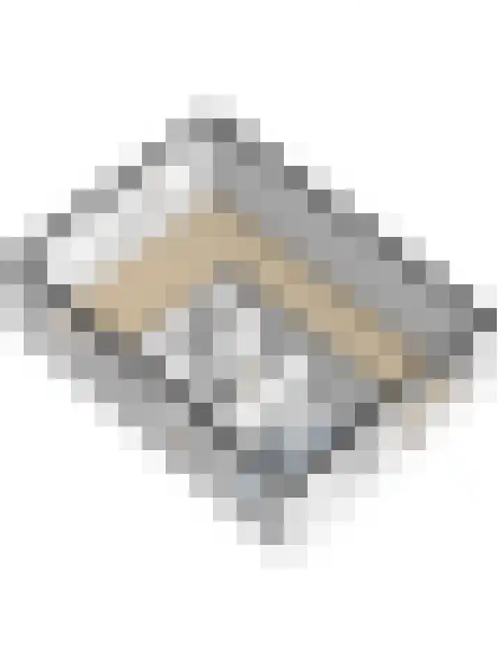 Aalsburg 1507 Wijchen thumbnail 42