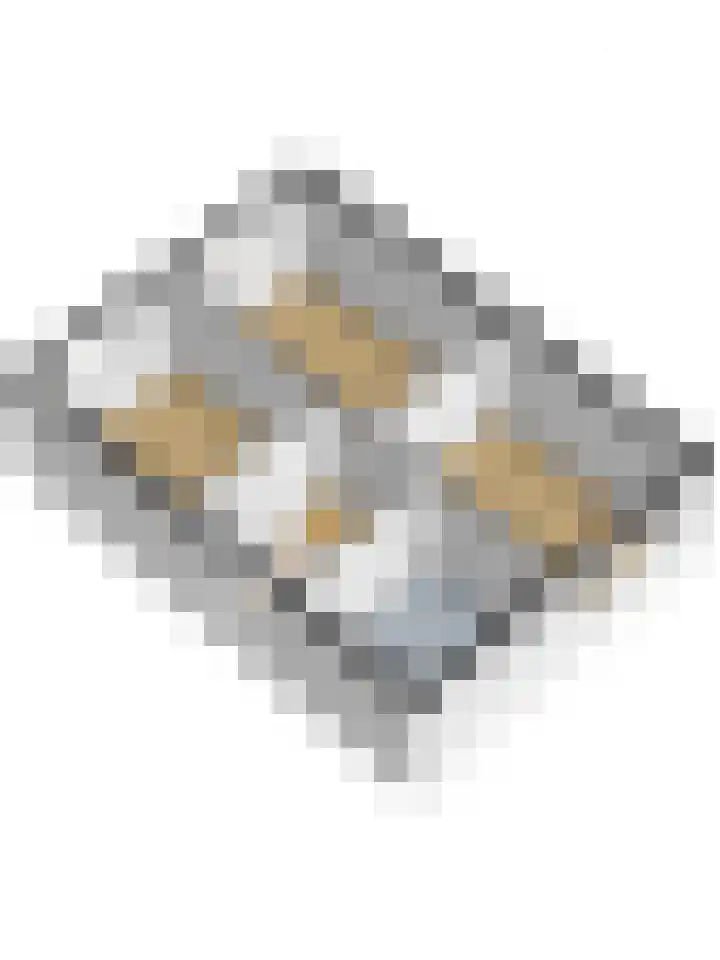 Aalsburg 1507 Wijchen thumbnail 44