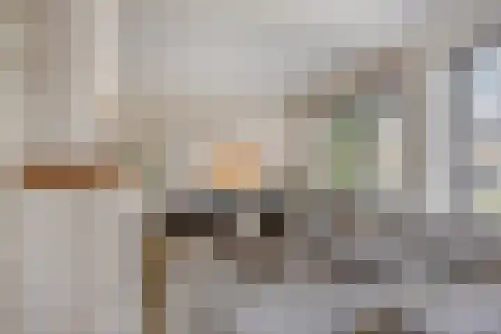 Aalsburg 1601 Wijchen thumbnail 10