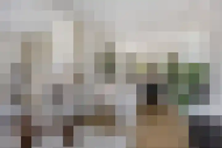 Aalsburg 1601 Wijchen thumbnail 13