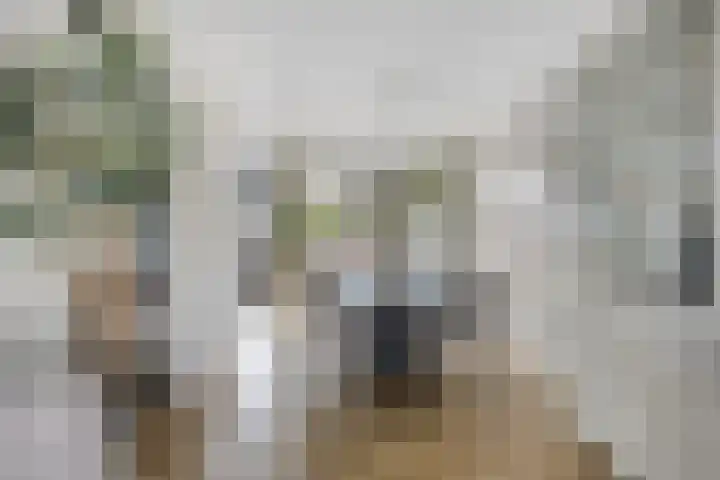 Aalsburg 1601 Wijchen thumbnail 14