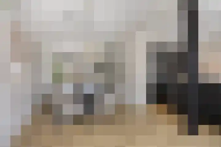 Aalsburg 1601 Wijchen thumbnail 15