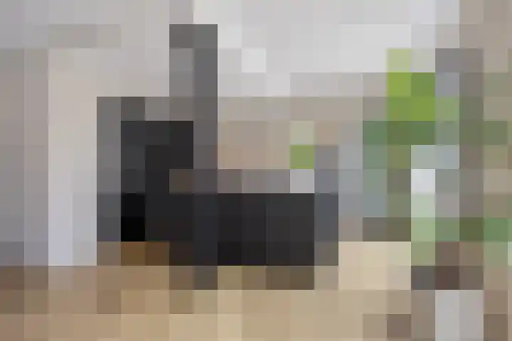 Aalsburg 1601 Wijchen thumbnail 16