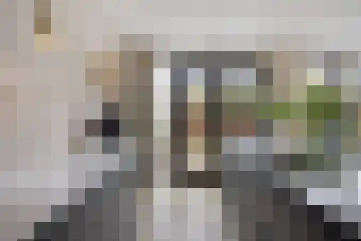 Aalsburg 1601 Wijchen thumbnail 19
