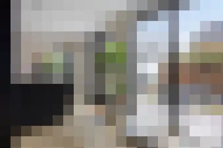 Aalsburg 1601 Wijchen thumbnail 25