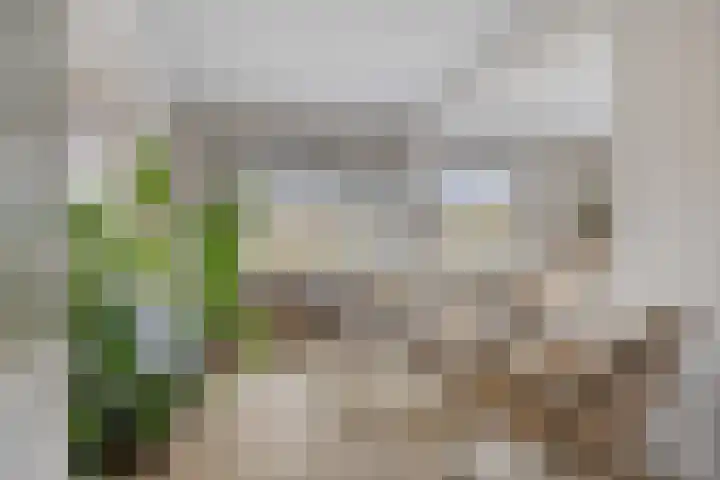 Aalsburg 1601 Wijchen thumbnail 4