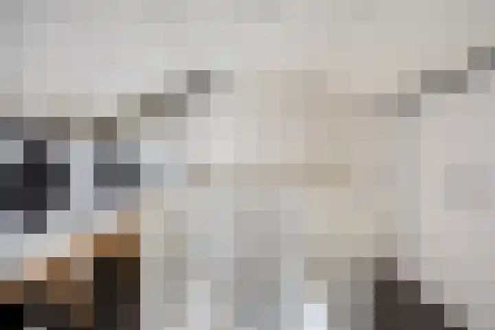 Aalsburg 1601 Wijchen thumbnail 44