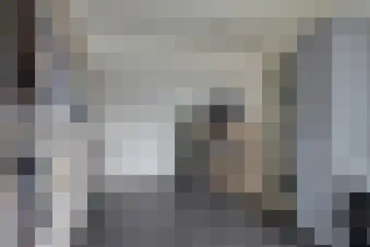 Aalsburg 1601 Wijchen thumbnail 48