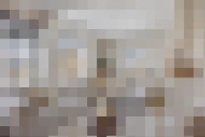 Aalsburg 1601 Wijchen thumbnail 5