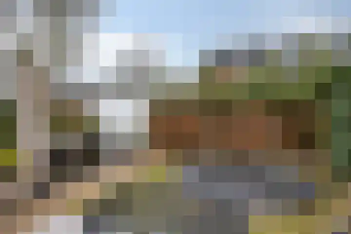 Aalsburg 1601 Wijchen thumbnail 52
