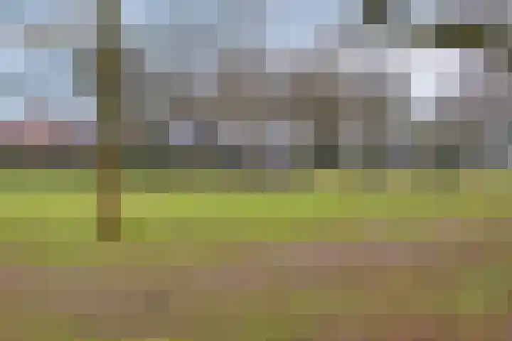 Aalsburg 1601 Wijchen thumbnail 62
