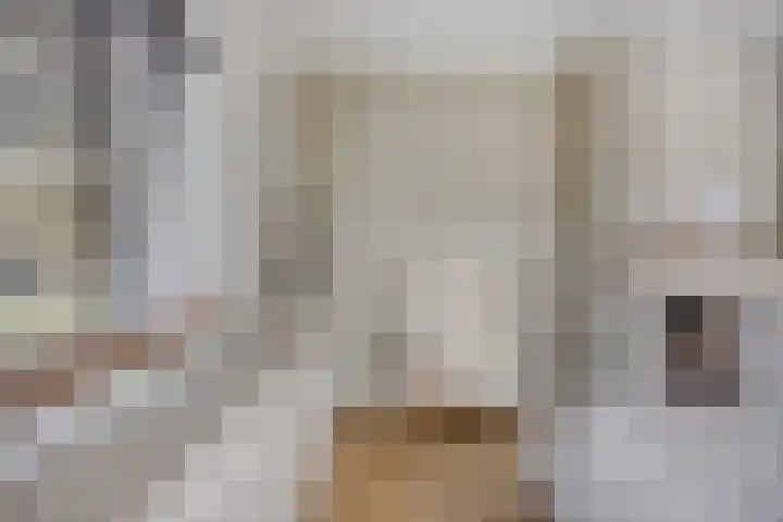 Aalsburg 1601 Wijchen thumbnail 7