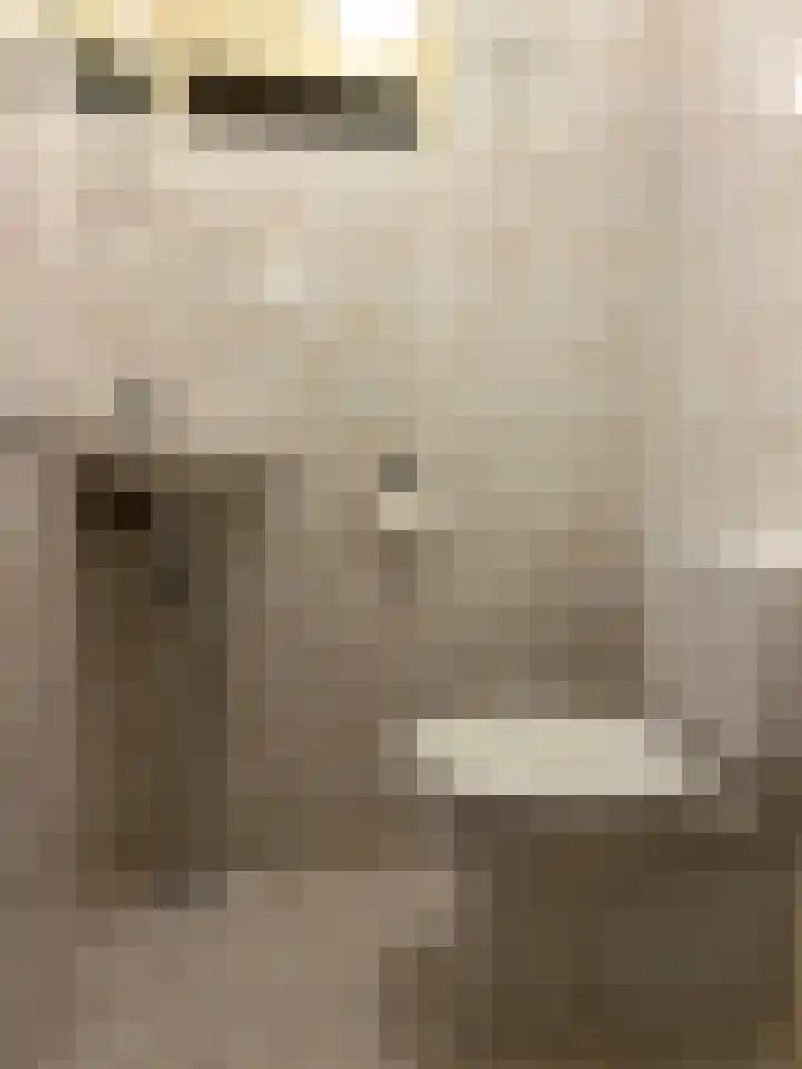 Aalsburg 1604 Wijchen thumbnail 17